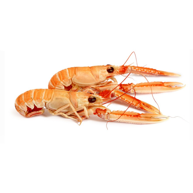 LANGOUSTINE 2/4 DANEMARK FRZ (0.8KG) - FRESH PACK