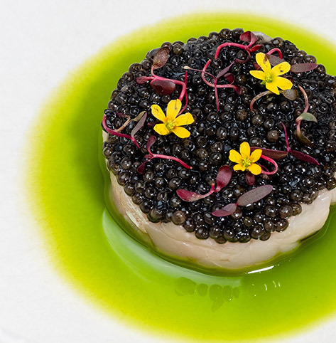 Caviar